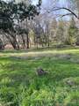 10710 View Way - Photo 4