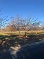 2365 Powell Road - Photo 1