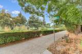 2526 Overhill Lane - Photo 43