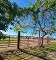 13512 Alta Mesa Road - Photo 79