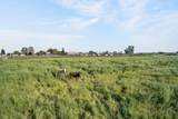 13512 Alta Mesa Road - Photo 92