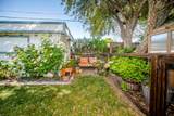 113 Pendegast Street - Photo 50