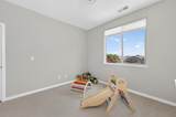 5653 Cobbler Lane - Photo 15