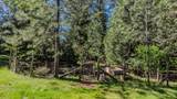 22401 Shake Ridge Road - Photo 58