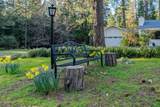 22401 Shake Ridge Road - Photo 6