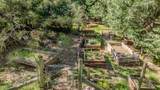 22401 Shake Ridge Road - Photo 61