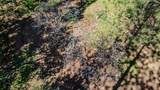 22401 Shake Ridge Road - Photo 62
