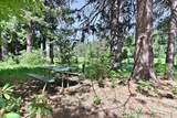 1801 Pine Drive - Photo 57