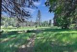 1801 Pine Drive - Photo 60