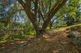 320 Gopher Flat Road - Photo 75