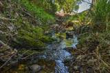 320 Gopher Flat Road - Photo 79