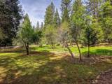 12528 Rattlesnake Road - Photo 12