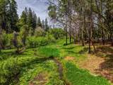 12528 Rattlesnake Road - Photo 42