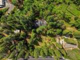 12528 Rattlesnake Road - Photo 43