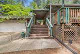 5861 Lupin Lane - Photo 8