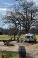 9390 Platina Road - Photo 11