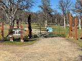 9390 Platina Road - Photo 16
