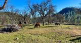 9390 Platina Road - Photo 17