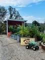 9390 Platina Road - Photo 50