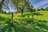 6910 Tonzi - Photo 27