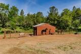 6910 Tonzi - Photo 31
