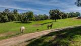 6910 Tonzi - Photo 77
