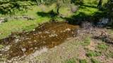 6910 Tonzi - Photo 78