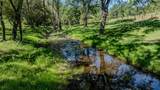 6910 Tonzi - Photo 79