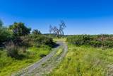 23070 Payam Place - Photo 24