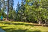 3830 Dogwood Pass Road - Photo 16