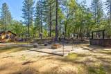 3830 Dogwood Pass Road - Photo 44
