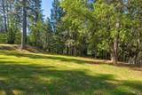3830 Dogwood Pass Road - Photo 48