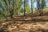 3830 Dogwood Pass Road - Photo 49
