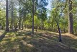 3830 Dogwood Pass Road - Photo 52
