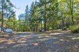 3830 Dogwood Pass Road - Photo 55