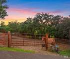 3915 Joslin Lane - Photo 43