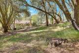 11631 Redwing Court - Photo 58