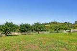 8422 Memory Lane - Photo 38