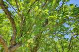 8422 Memory Lane - Photo 40