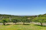 8422 Memory Lane - Photo 44
