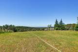 8422 Memory Lane - Photo 47