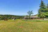 8422 Memory Lane - Photo 48