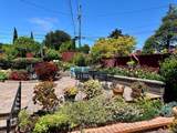 254 La Cruz Avenue - Photo 31