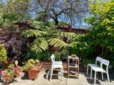 254 La Cruz Avenue - Photo 35