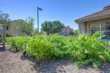 5350 Dunlay Drive - Photo 70