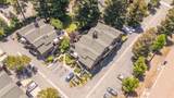 446 Bolinger Common - Photo 38