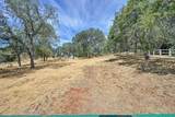 5551 Saddlehorn Road - Photo 10