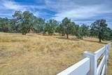 5551 Saddlehorn Road - Photo 11