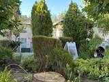 484 Caldarella Circle - Photo 1