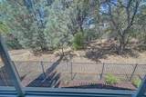 1102 Ferry Circle - Photo 39